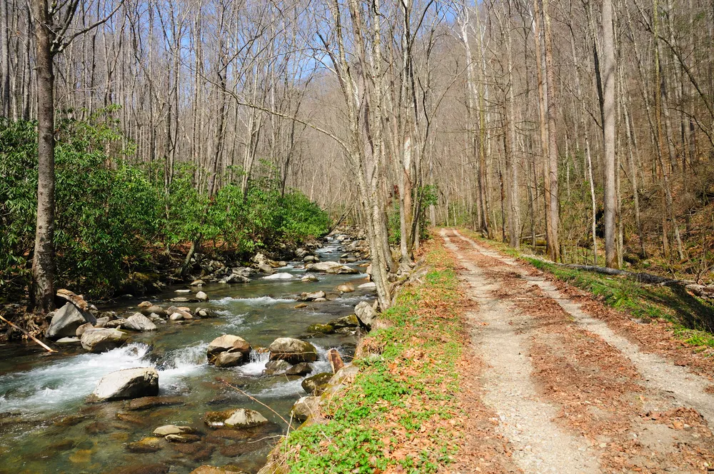 bradley fork trail