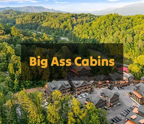 bac-hitsm-lodging-cover
