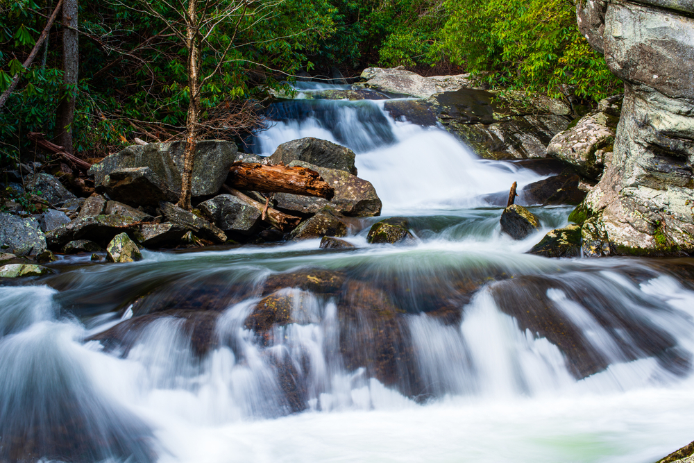 lynn camp prong cascades