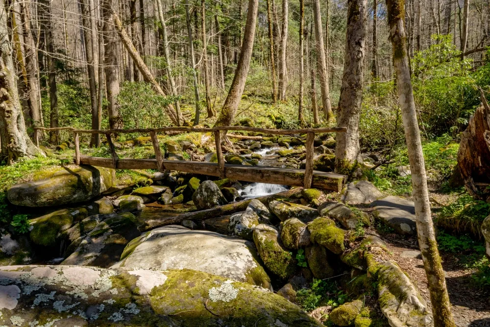 hiking trail cosby