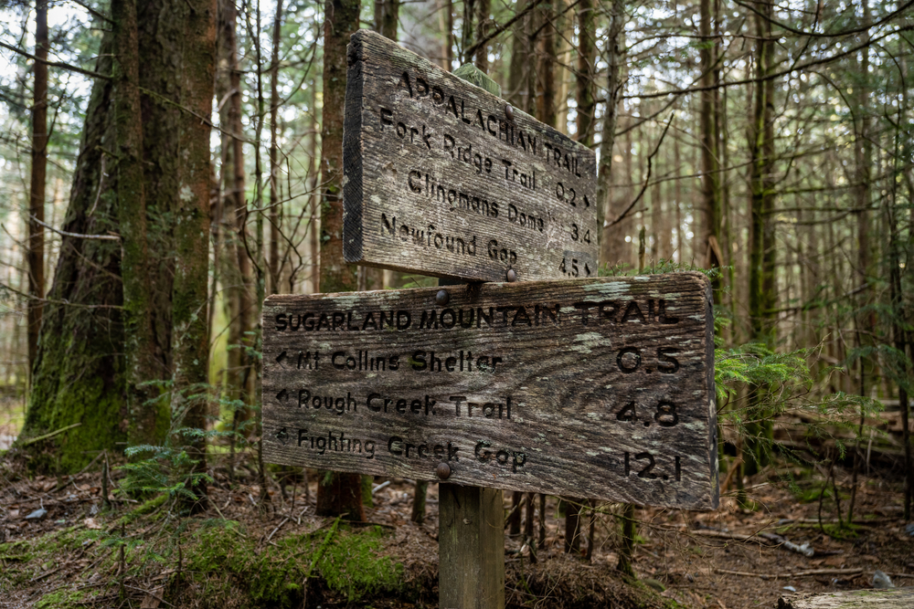 sugarland mountain trail
