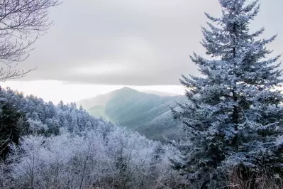 Smoky Mountains Winter