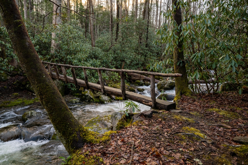 Old Settlers Trail