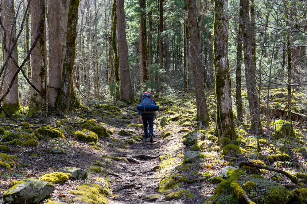 smoky mountain hike