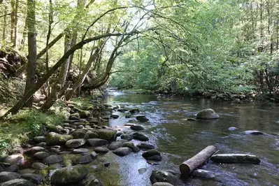 Gatlinburg Trail 