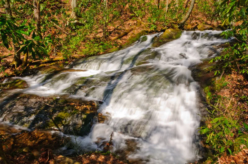 chasteen creek cascade