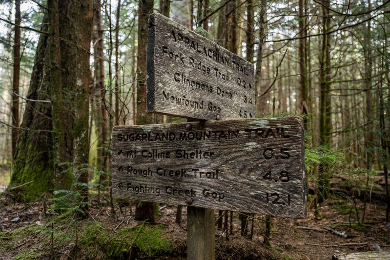 sugarland mountain trail