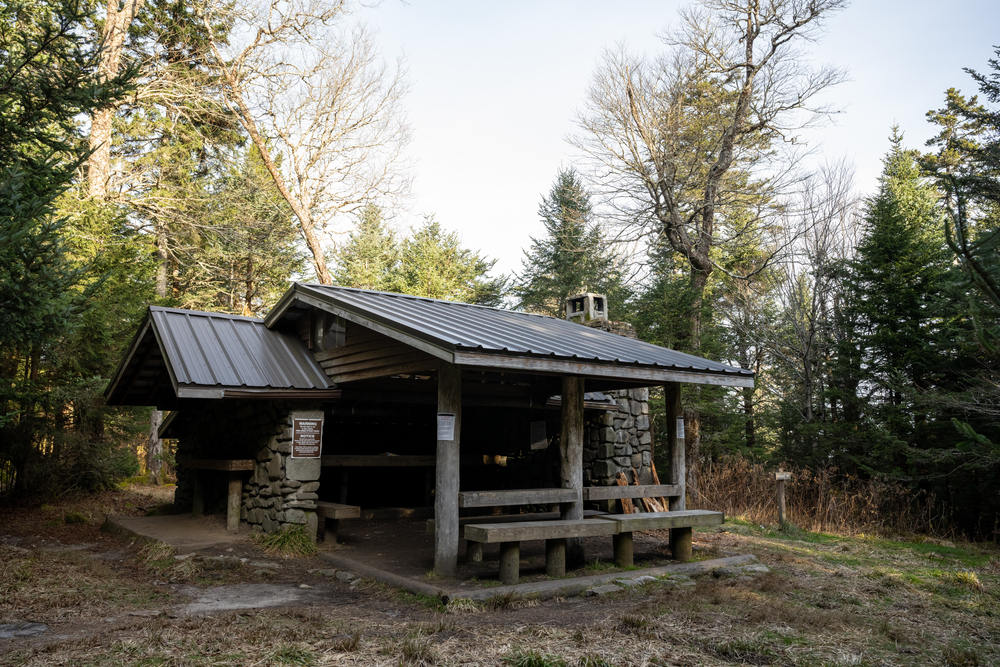 mount collins shelter 