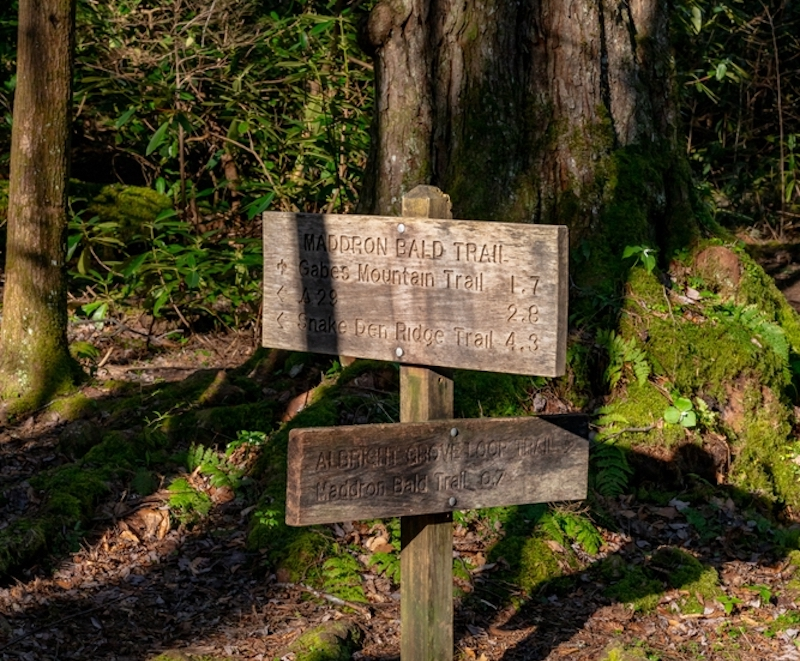 albright grove loop trail