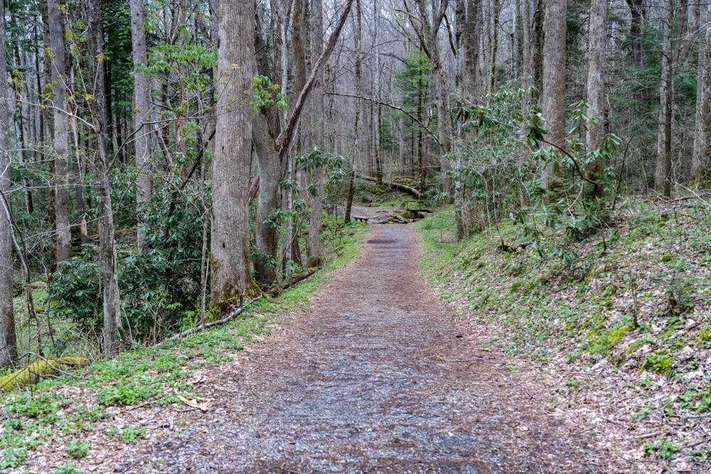 cosby nature trail
